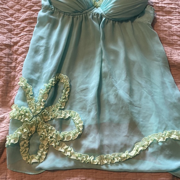 EUC Ambrielle Embroidered Mesh Babydoll - Picture 3 of 5